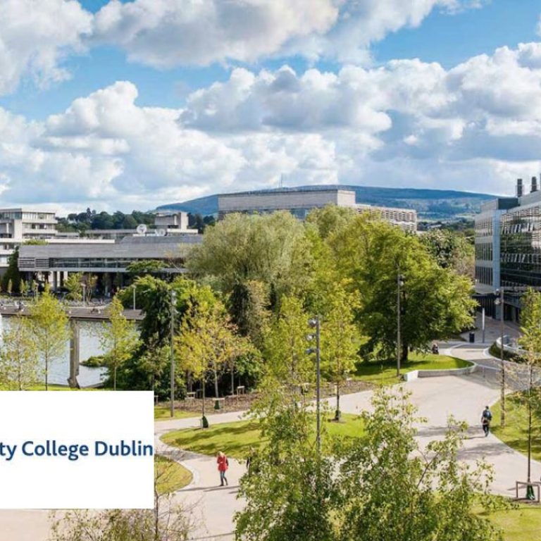 xr:d:DAFSxnsYnrw:167,j:2067375862,t:23011712